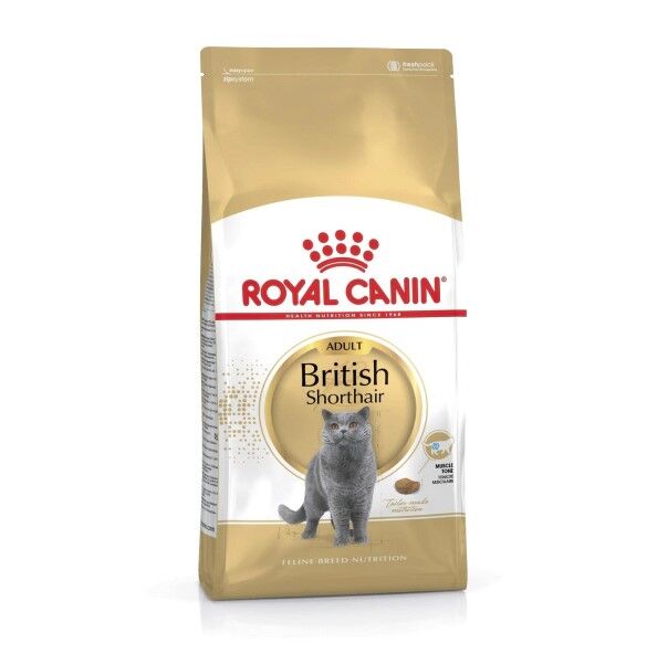 Royal Canin British Shorthair Yetişkin Kedi Maması 2 Kg / 4 Kg