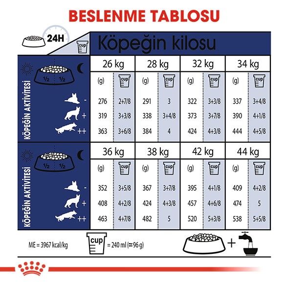 Royal Canin Maxi Adult Büyük Irk Yetişkin Köpek Maması 15 kg