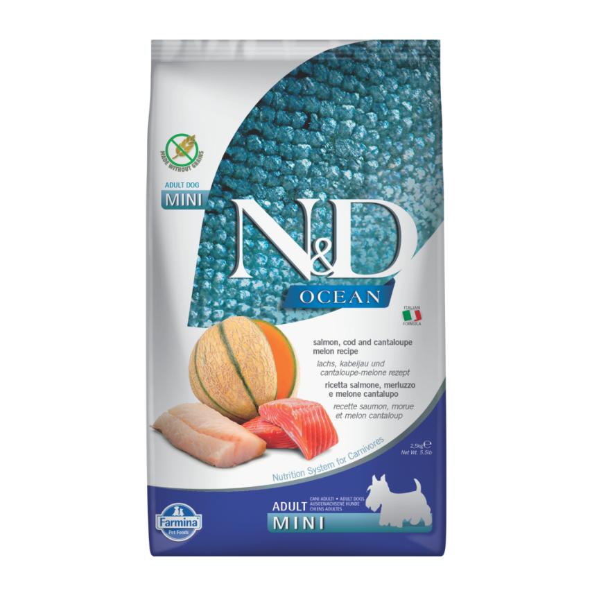 N&D Ocean Mini Somonlu Morina Balıklı ve Kavunlu Tahılsız Küçük Irk Yetişkin Köpek Maması 2,5 kg / 7 kg
