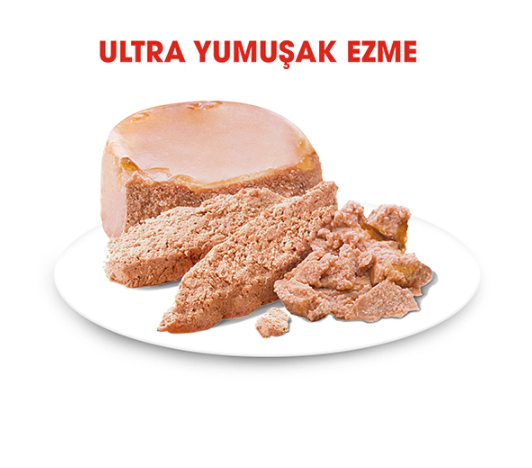 Royal Canin Starter Anne ve Yavru Köpek Konservesi 195 gr